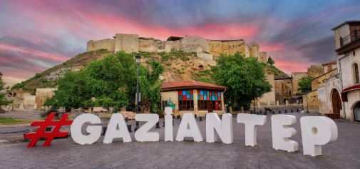 Gaziantep'te Gökyüzü Şöleni: Gençler Meteor Yağmurunu Gözlemledi