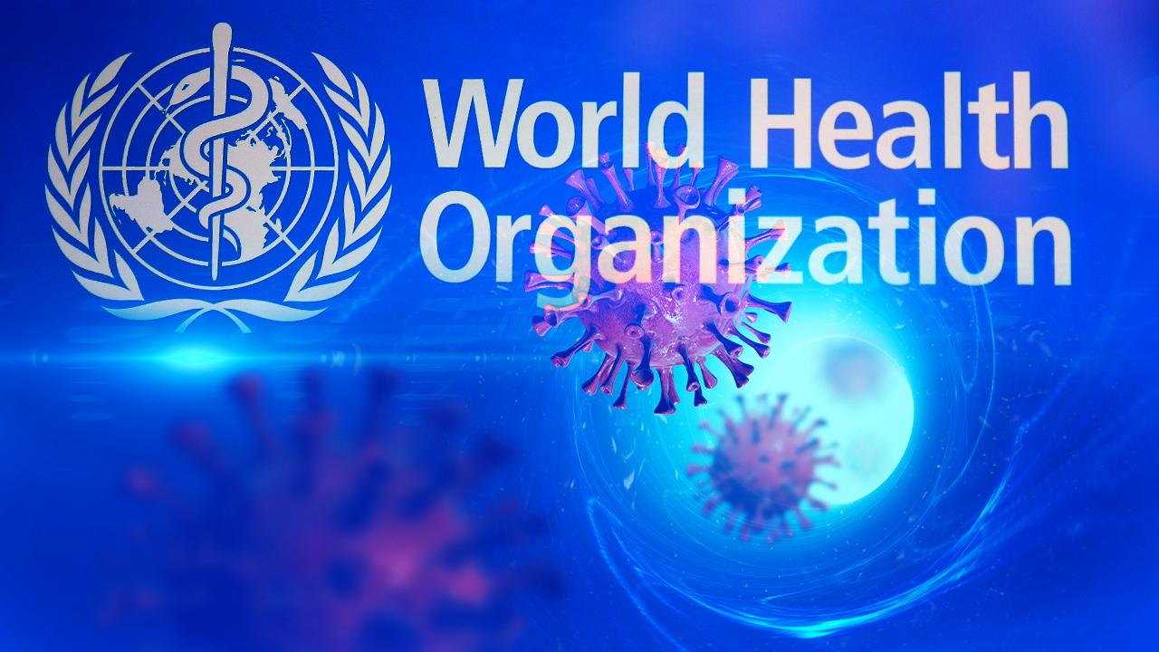 DSÖ'den Kongo'daki Ebola Salgını İçin Yeni Önlemler Ticaret ve Sağlık Hizmetleri Yakından İzlenecek