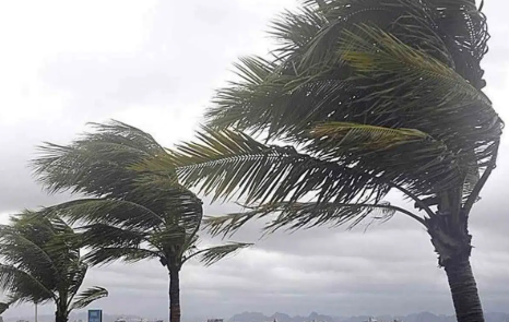 Muğla’da Kuvvetli Rüzgar ve Fırtına Uyarısı: 8 İlçe Etkilenecek