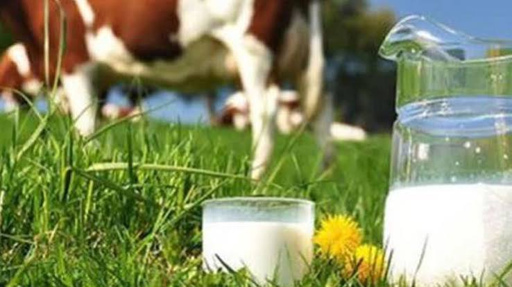 Çiğ Süt Desteğinde Askı Süreci Bugün Sona Eriyor, İtiraz Takvimi Belli