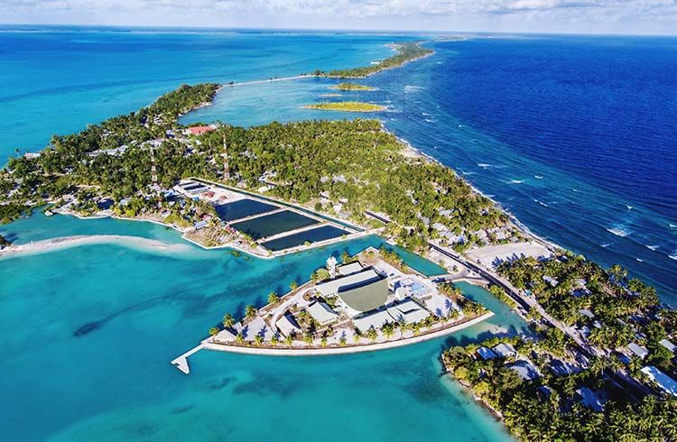 Kiribati Yatırım ve Ticaret İçin Uygun mu? Maden, Banka, Liman ve Havalimanı Durumu